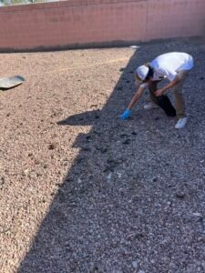 Read more about the article Why Professional Dog Waste Removal is Essential for Mesa and Chandler Homeowners.