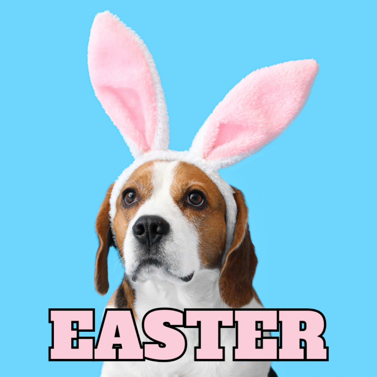Read more about the article 🐰 Easter Fun for Your Dogs in Tempe, Queen Creek, and Mesa!