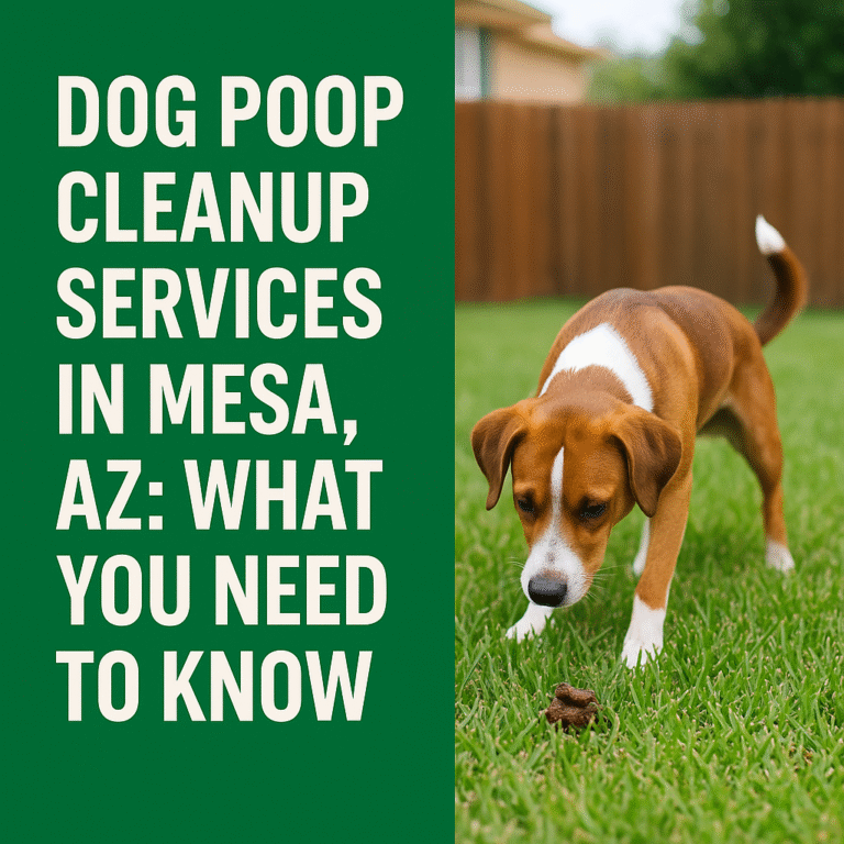 Read more about the article Dog Poop Cleanup Services in Mesa, AZ: What You Need to Know